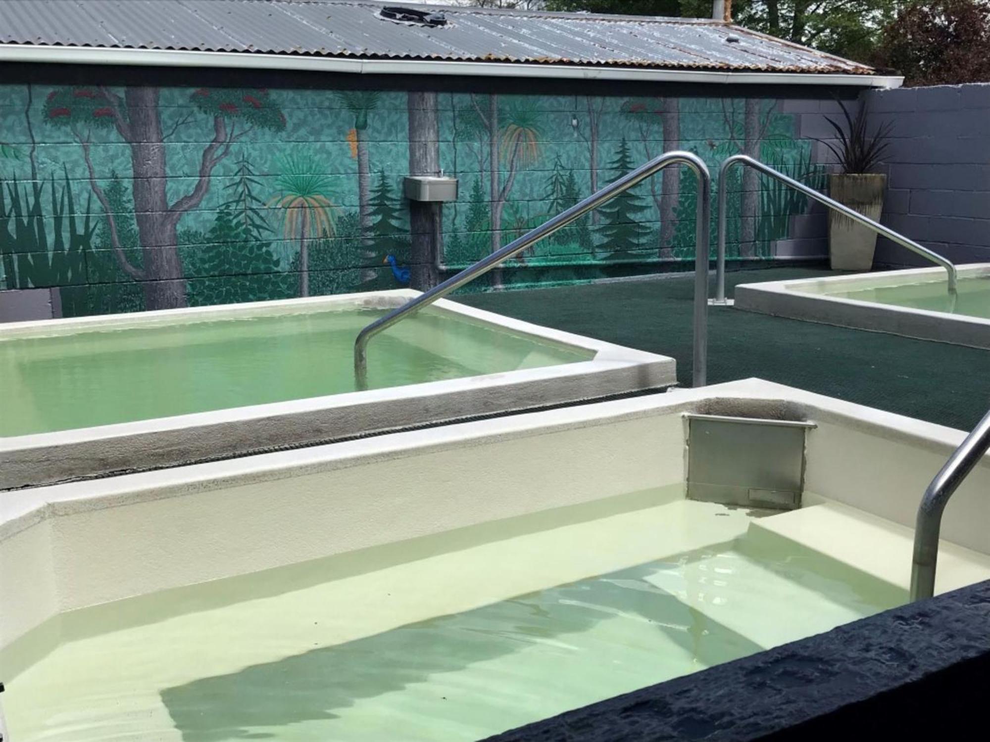 Rotorua Thermal Holiday Park Eksteriør billede